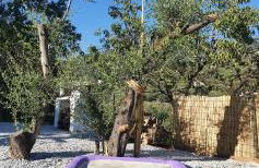 Casa papi - Photo 12