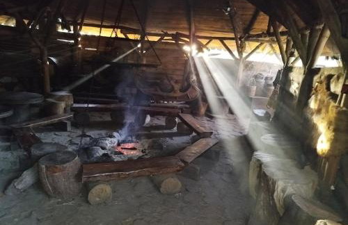 Agroturystyka Traperska Osada - Foto 43