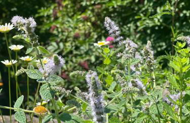 Palazzo 54 - Photo 56