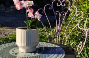 Barbara tra gli Ulivi - Foto 46