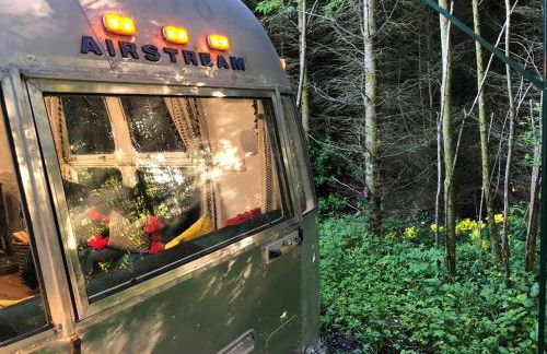 Ayrshire Airstream - Foto 16