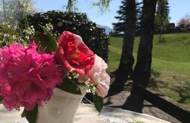 Le Betulle - Foto 58