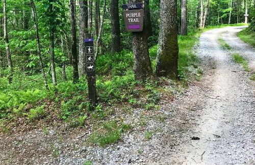 Hike, Ski and More! Pet-Friendly Home in Glenville - Foto 39