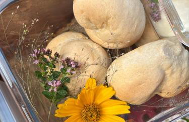 Osada Iwiec-Karpaty w Borach Tucholskich - Foto 7