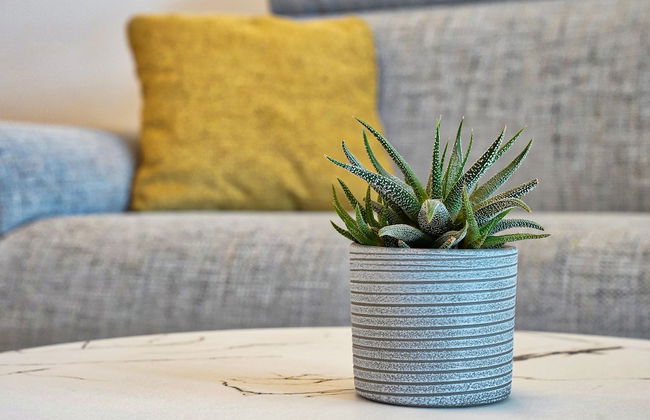 Apartments Bagar - Foto 9