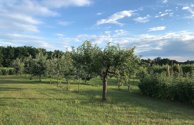 Agriturismo La Biandrina - Foto 47