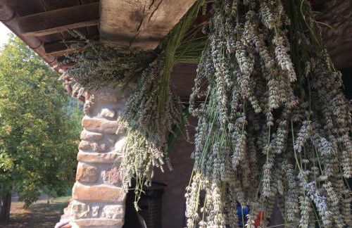 Monte Bibele - Foto 16