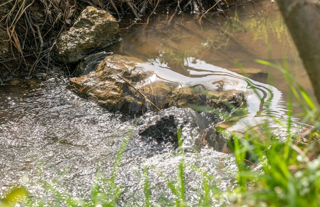 Robinzonski Kamp Hofman - Foto 32
