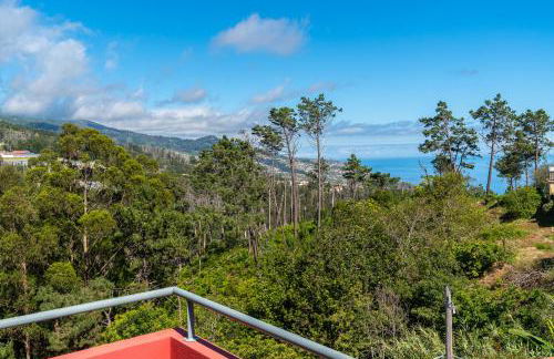 Quinta Frizado - Foto 30