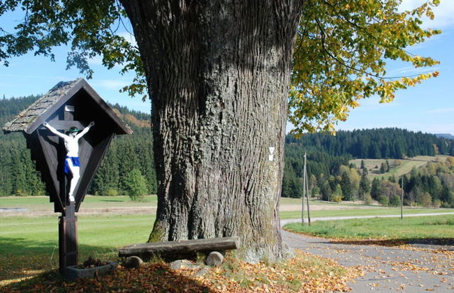 Nesterl Modern Retreat - Photo 30