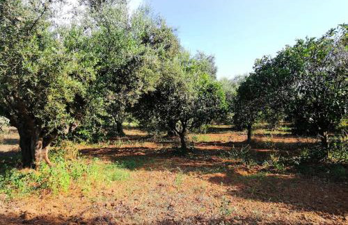 Agrilis Cottage near the beach - Foto 30