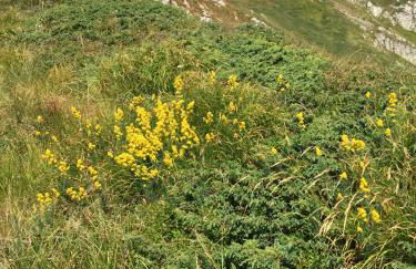 Casa Sperandini - Foto 26