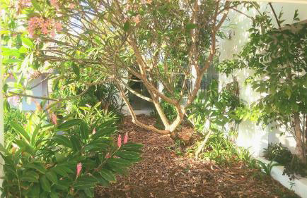 Belíssima Casa Condominio e Mar - Foto 71