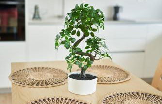 Casa Surya, piscina, wifi y parking con punto de carga EV - Foto 15