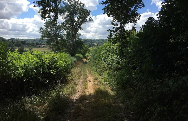Stylish Wells Penthouse With Cathedral Views - Foto 15