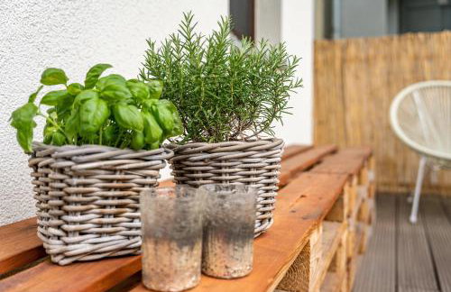 Zentrumsnahe Wohnung in Chemnitz - Photo 19