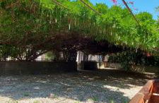 STELLA MARIS A - Foto 22