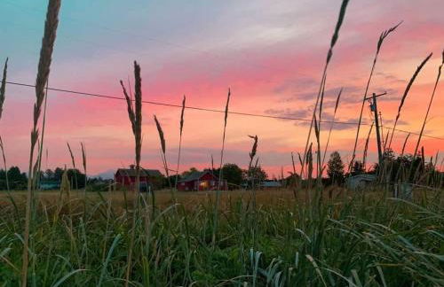 SQ The-Crab-Shack - Foto 23