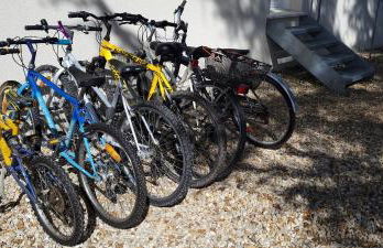 Les fins bois - Foto 12