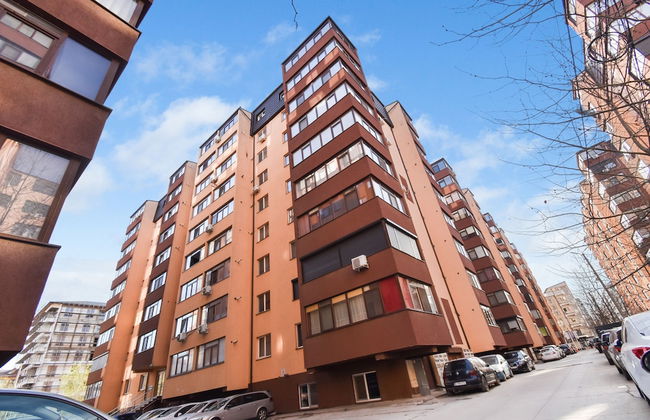 Diana Studio - Foto 17