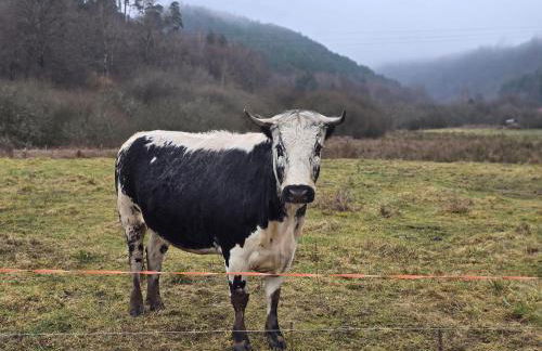 Appartement Chez Mar'Tine - Foto 36