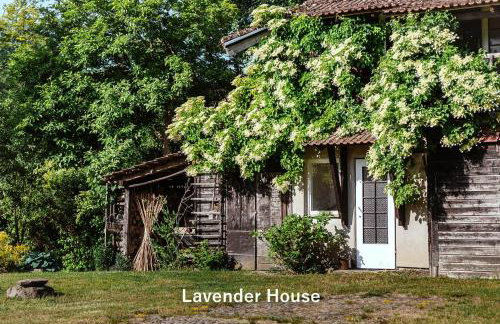 Lavender House - Foto 36
