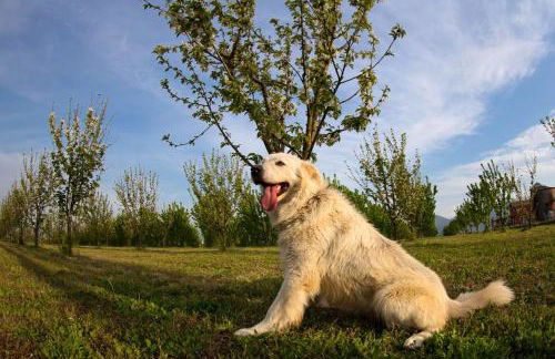 Exquisite Retreat in Segni - Foto 50