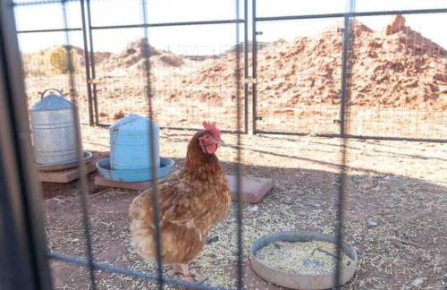 Denim and Diamonds - Foto 30