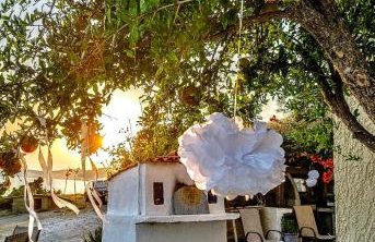 Villa Olga & studios - Foto 59