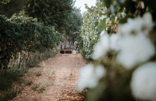 Finca Es Cabas - Foto 13