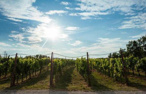 Cardo Boutique&Wine Resort - Foto 8