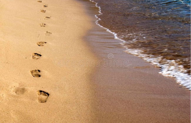 Turnberry Serviced Apartments - Photo 66