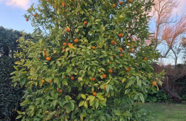 Villa Brocéliande - Les Tilleuls - Foto 37