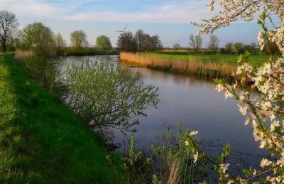 Loft Żuławy, apartament na wyłączność - Foto 26