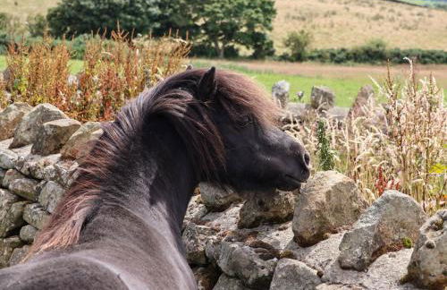 Granary Cottage - Foto 27