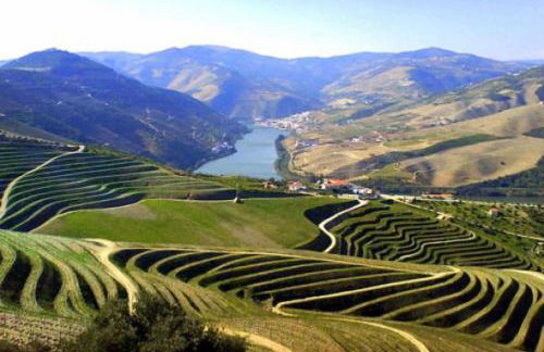 Douro House Loft - Foto 27