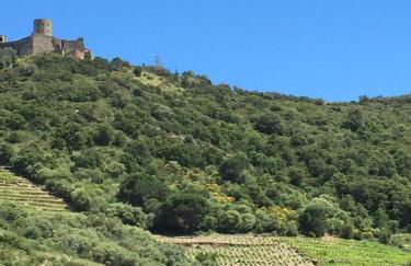 Apartment Olive & Kin, Collioure - Foto 25