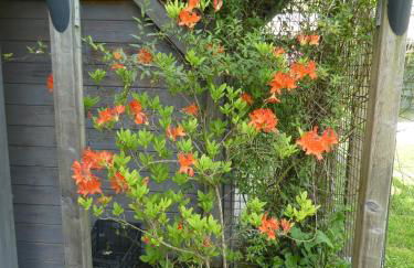 Gîte Les Platanes - Foto 25