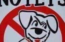 Pant yr onen holidays - Photo 38