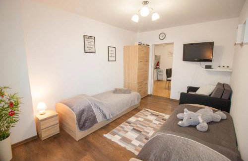 Apartamenty Bieszczady - Foto 51