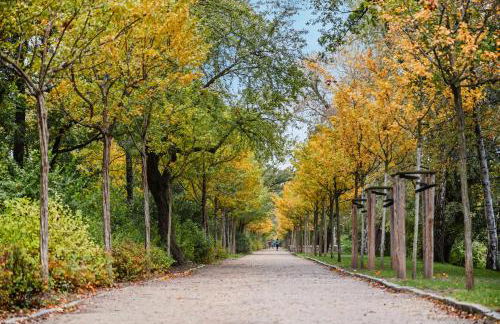 EDLER WOHNRAUM Schwanenteich-Suite mit Balkon, Kaffeevollautomat, Lift & Parkplatz - Foto 37