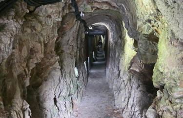 Ferienwohnung am Maarberg in Ulmen - Foto 9