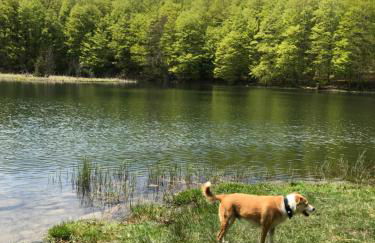 Appartamento Belfiore - Foto 15