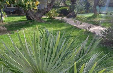 Bill's Garden Villa - Foto 50