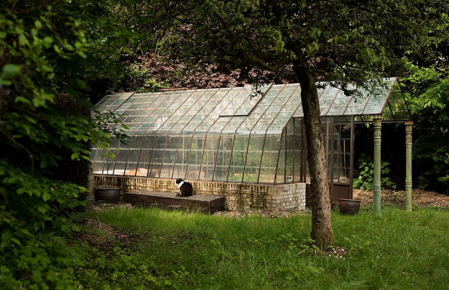 La Petite For t Antique Countryside Greenhouse - Foto 3