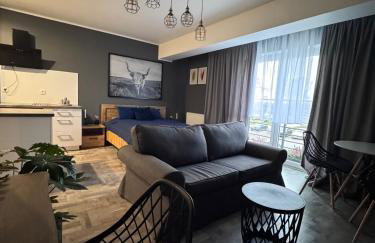 APARTAMENTY CENTRUM - Foto 7