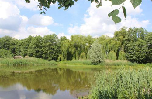 Domek w NABO - Foto 7