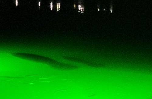 Blue Ocean Bungalow - Foto 40