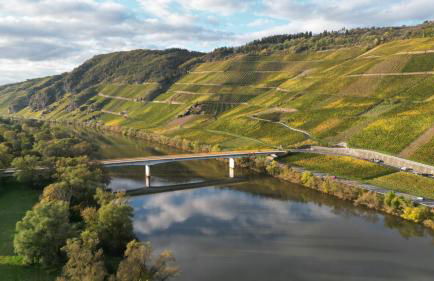 Moselappartements by Weingut Marco Adamy - Foto 40