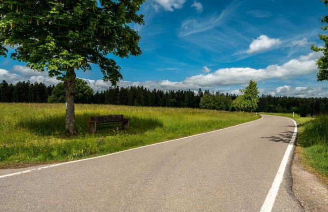 Ferienwohnung Marianne in Neuweiler - Foto 28